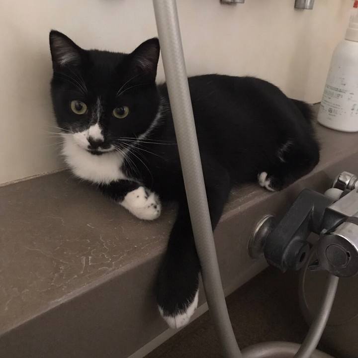 1fed3dff 41fb 4016 8ca0 8c82c4d65587