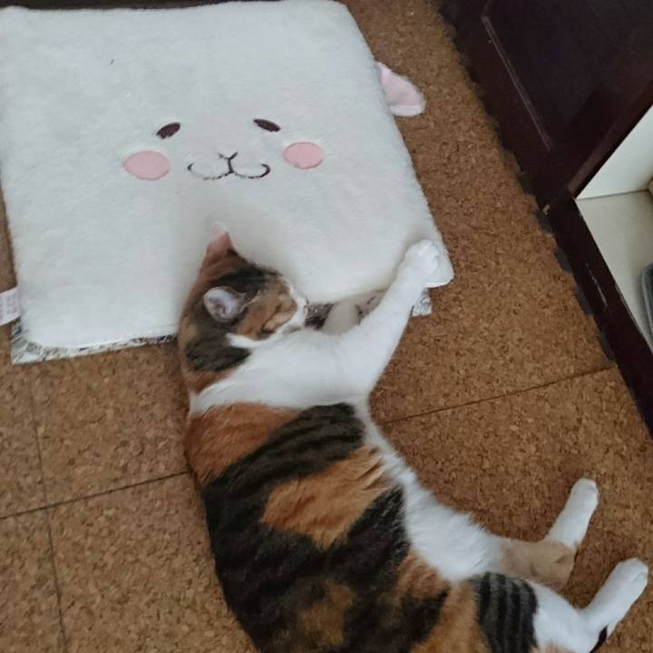 1fed764c 43ab 4608 a1ec 363ac14693cb