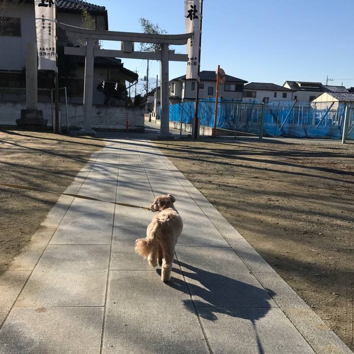 1fedf3bd ce2b 4201 b61e b9eec9355acd