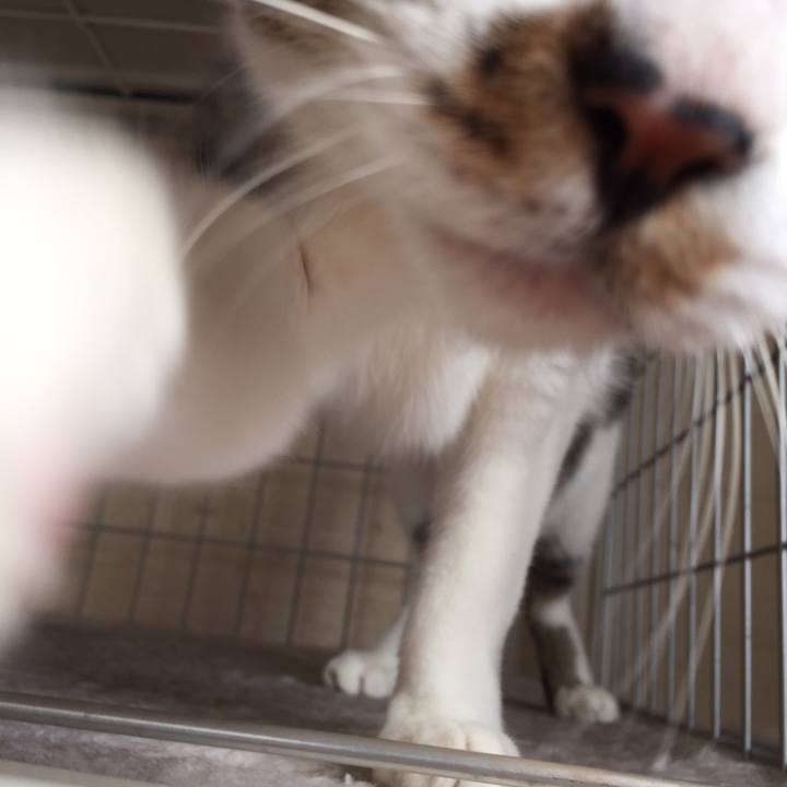 1feed5c1 735e 4ac9 b1a6 b62140a7a356