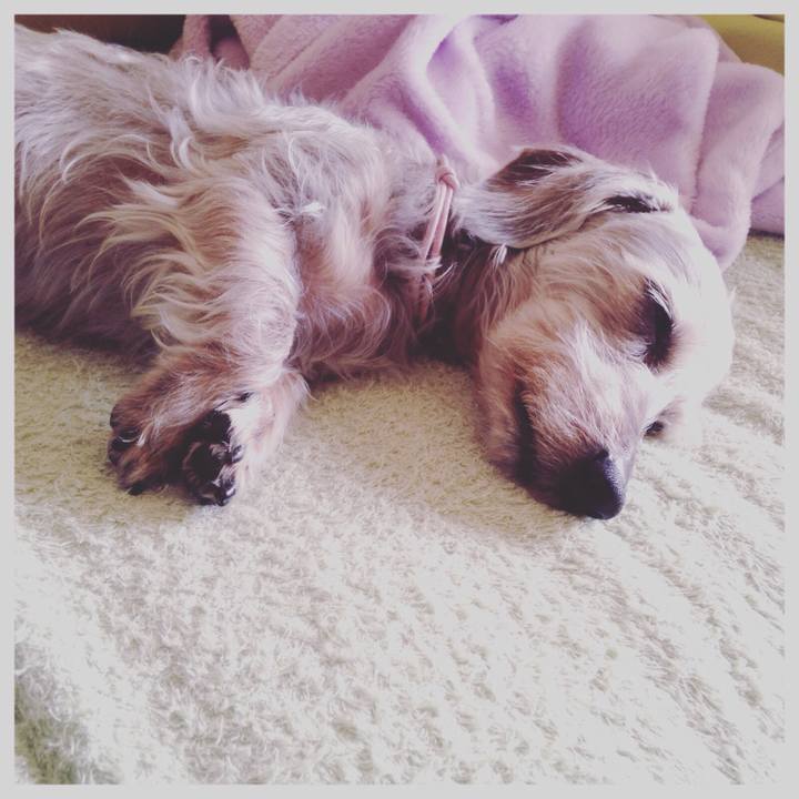 1fef9ad2 5ebc 4466 ab9f 48b1603471ae