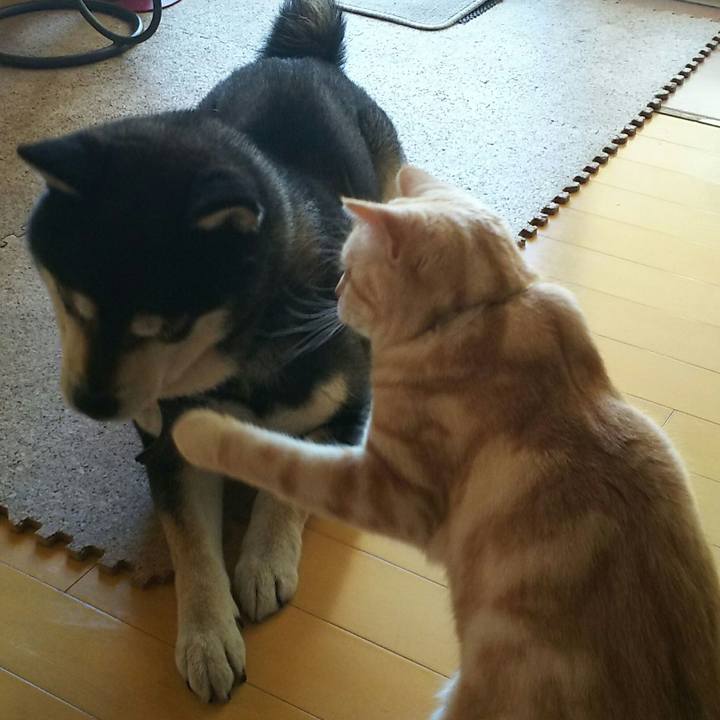 1fefaa6a 2ee3 4fca 9702 2b5b8ee4fde2