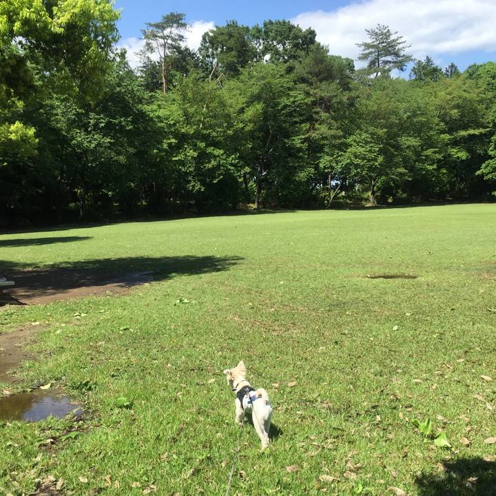 1fefbd96 e453 4577 a9ef 63d70b361f4d