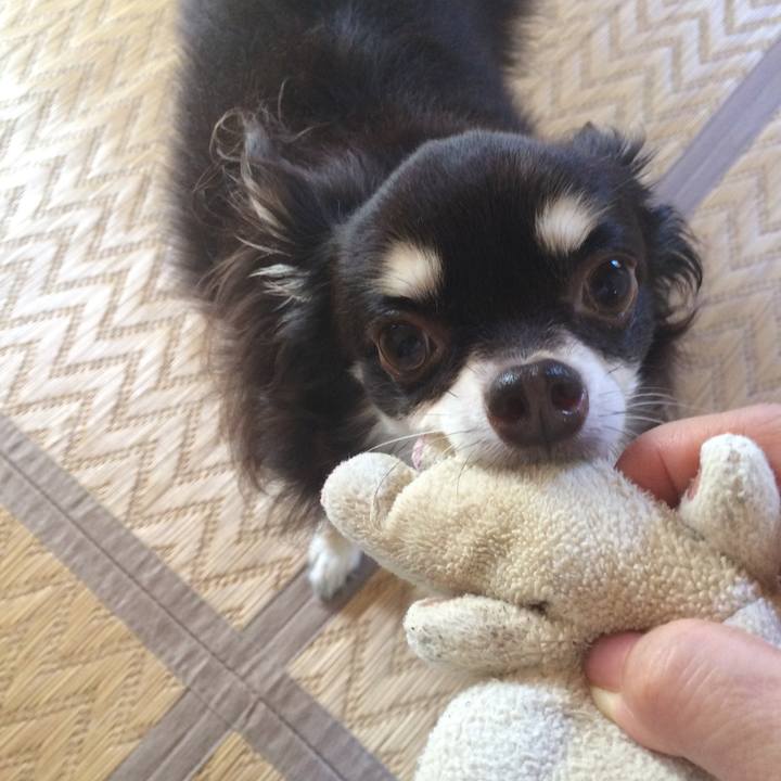 1feff0c2 db82 4a1c 9bf3 179f2236e173