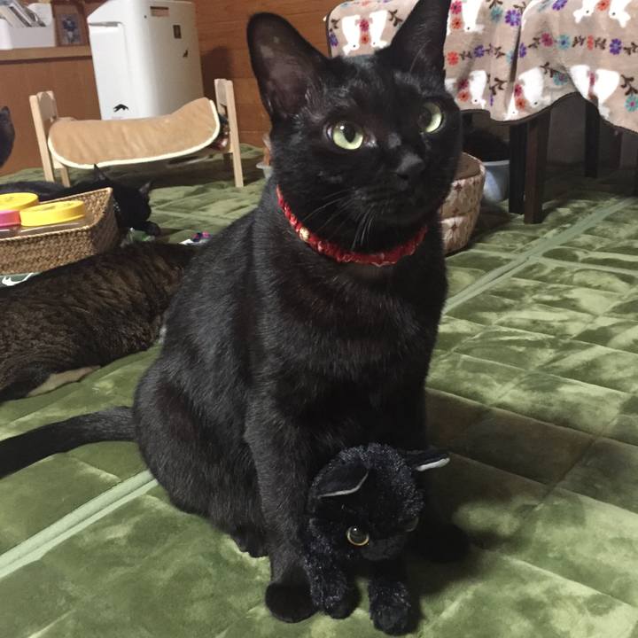 1ff00f63 2769 477c a03a 983055737614