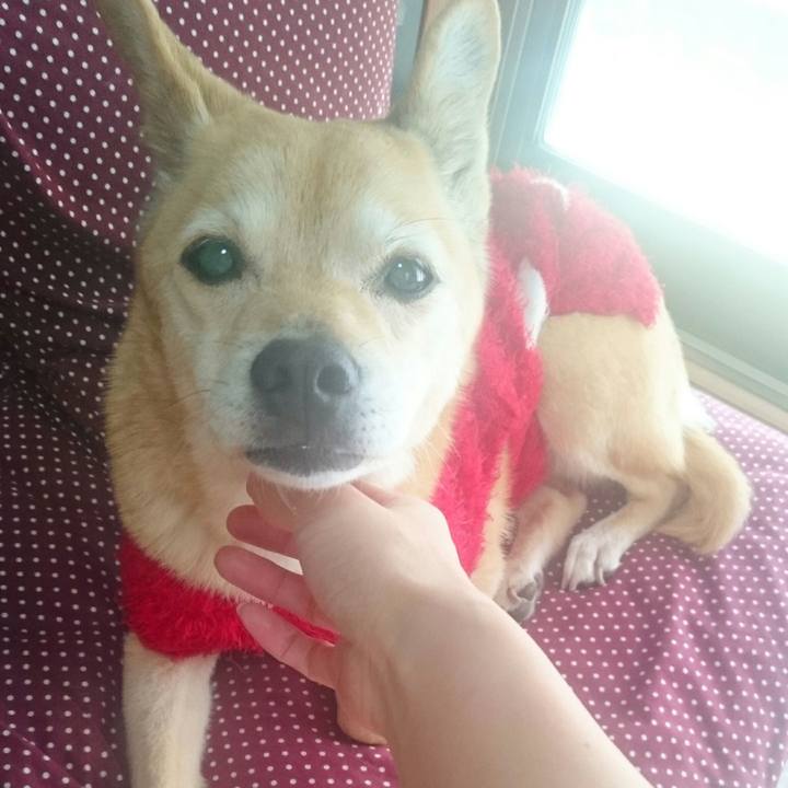 1ff049ab ef4b 4d11 b656 ce30325eb92a