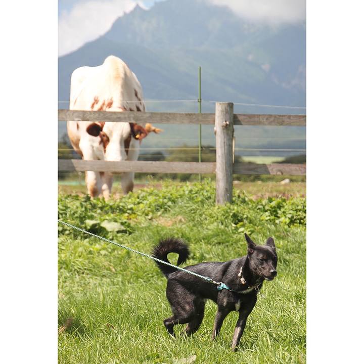 1ff08a8e b578 4ae3 91ab 675dda643605