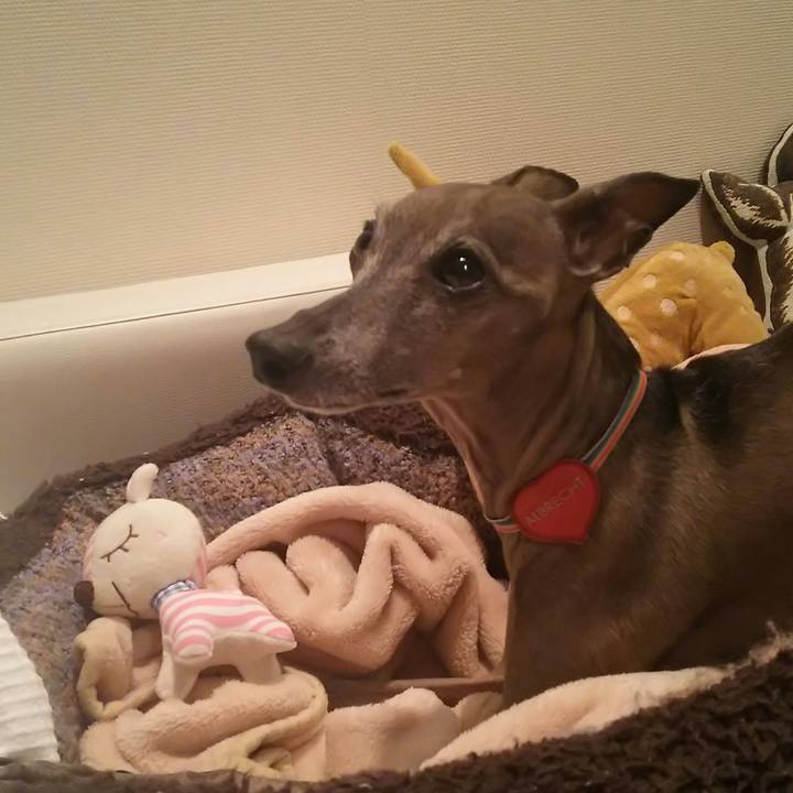 1ff1884f feec 49f3 b78d 8bf0c0d6de27