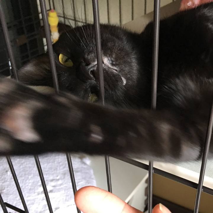 1ff1ef07 989c 471e 8be0 73519b5b5679