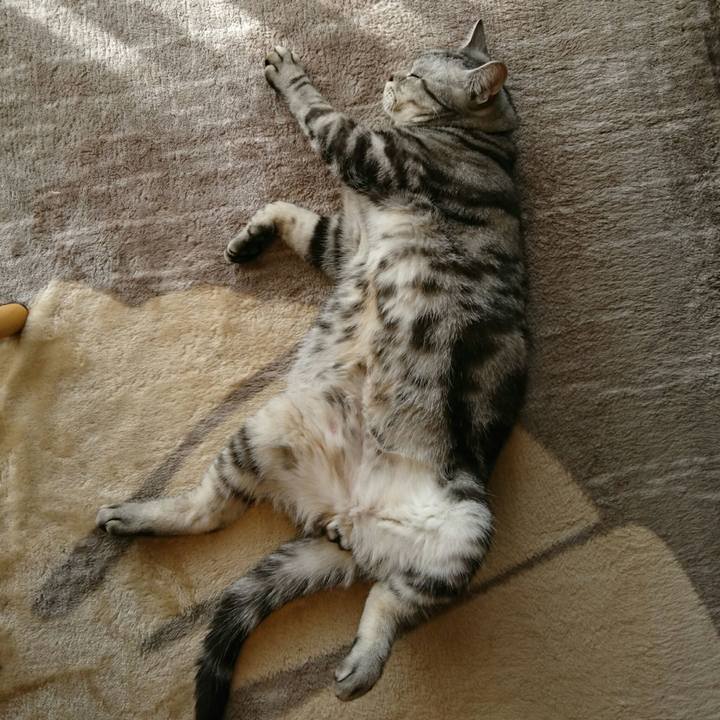 1ff2d04c 1211 4d72 81a7 043bbbbc9dbb