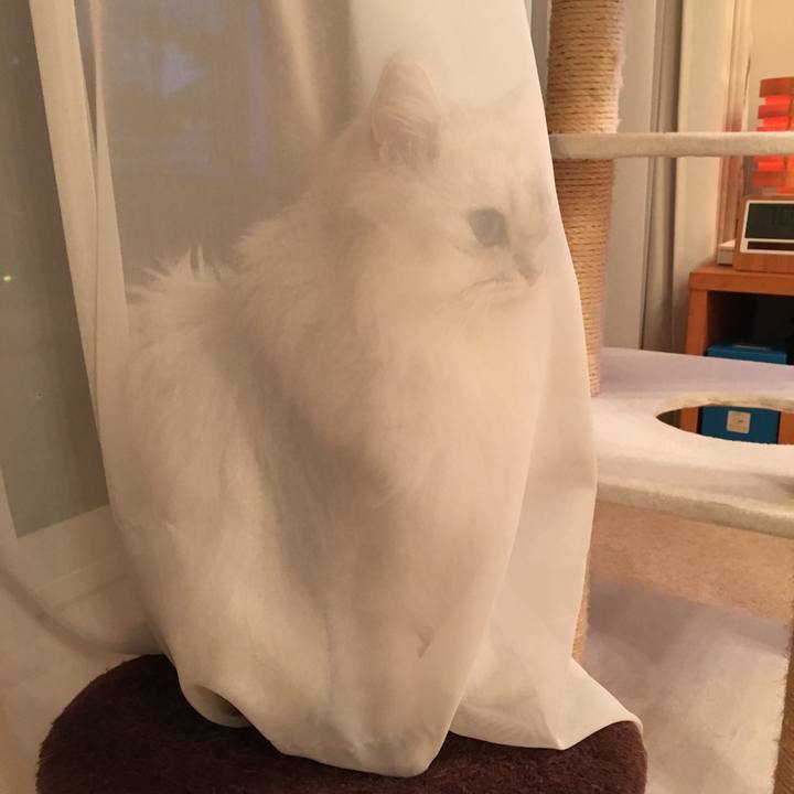 1ff35dab 3dbf 468d bf1c 14daaebe0828