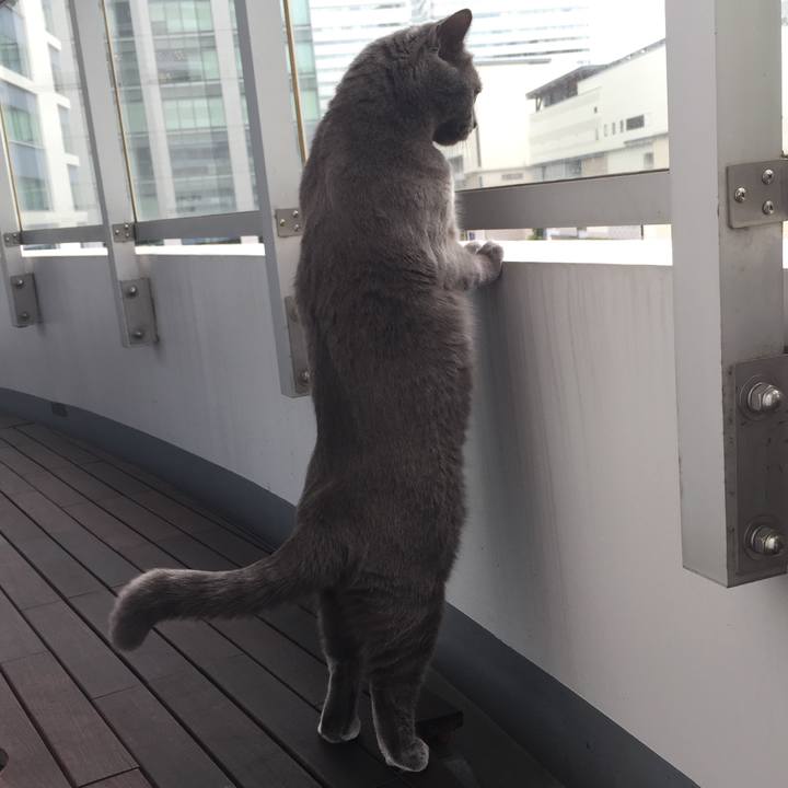 1ff43928 247c 4c06 bc81 d3e4677c443f