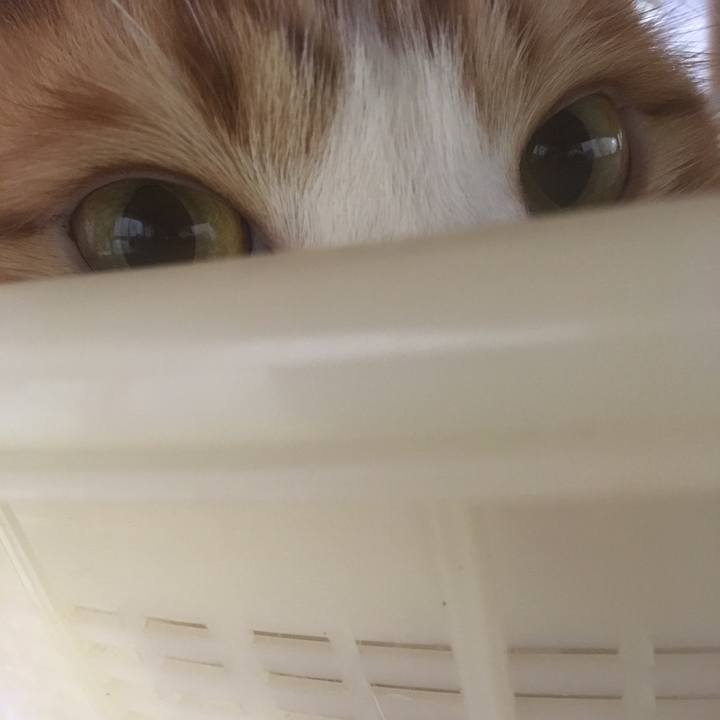 1ff50605 9f16 480b 975e 68e8bfe1ed66