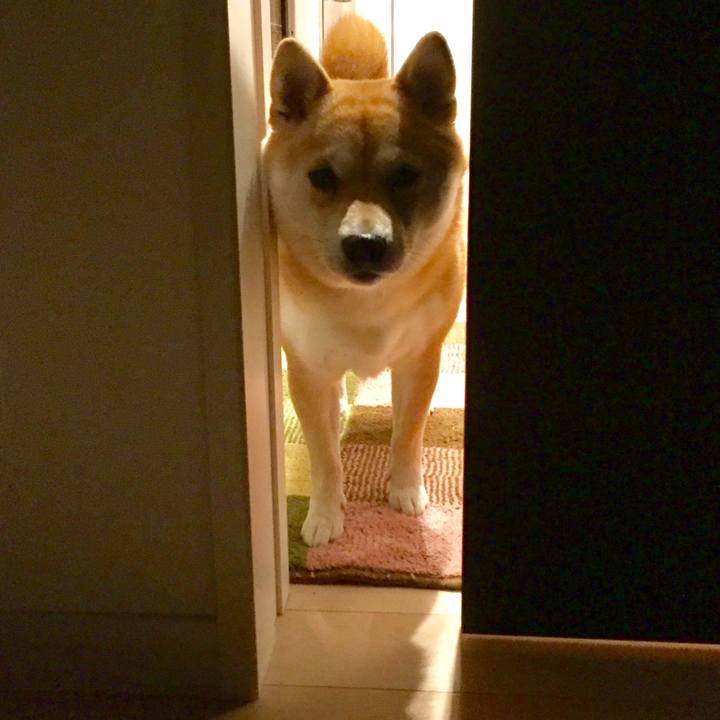 1ff55023 c807 4c43 9751 1cab6faa21b1