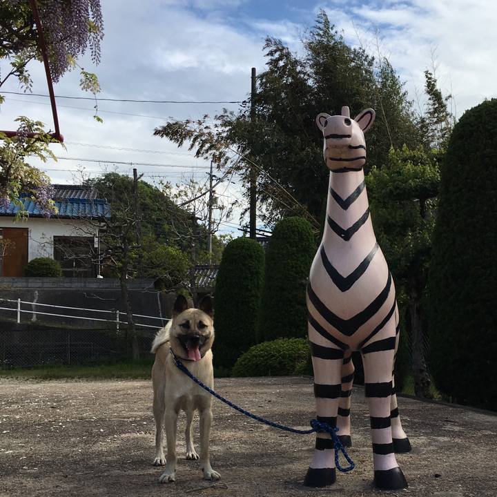 1ff553bf e819 4c06 a40f 2ffebfdb4c12