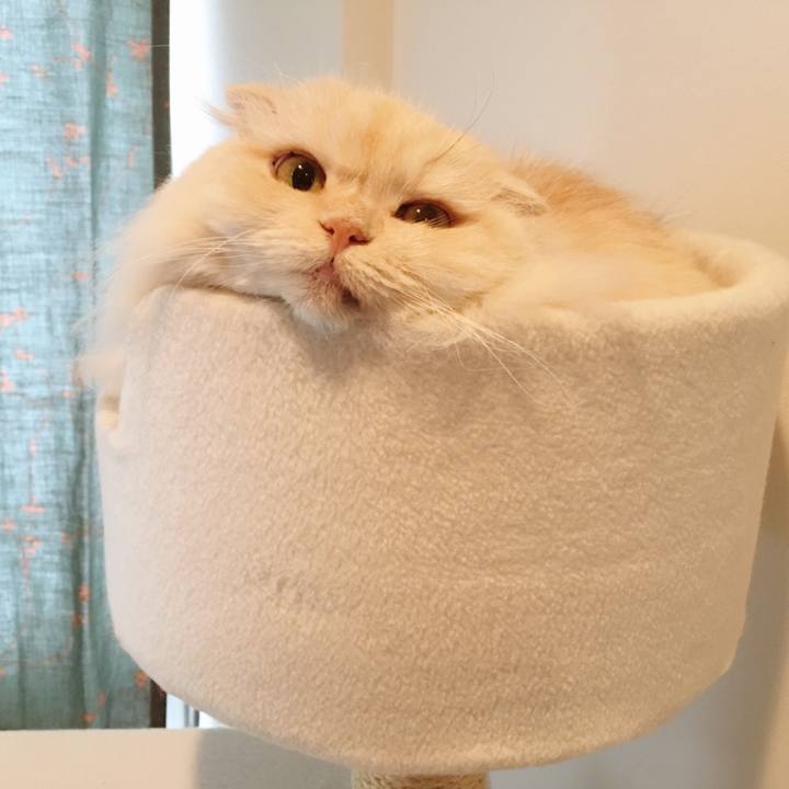 1ff59334 f7f6 4fdd 8de8 b487e62249bd