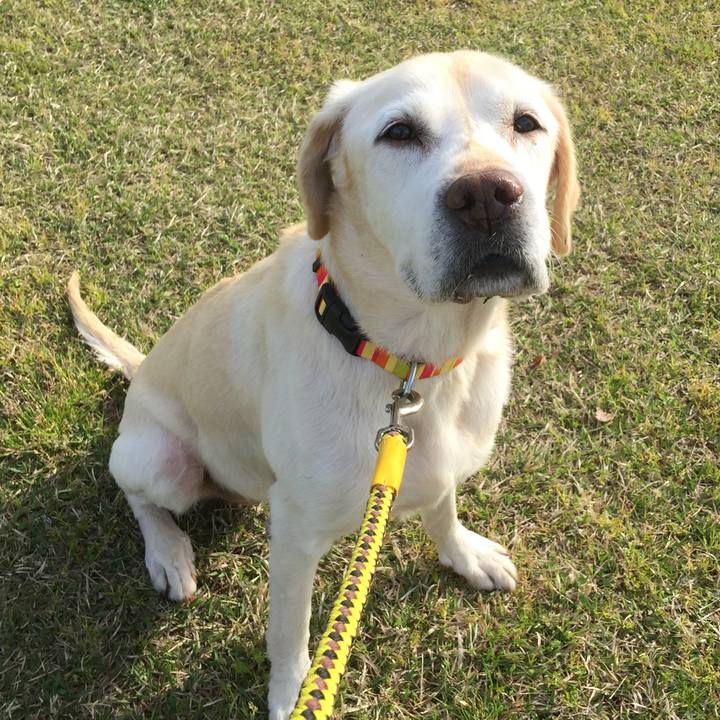 1ff66e0d 3089 4d8a b864 a1daf412a9ac