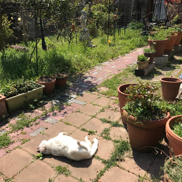 1ff7000e e0fb 4bf6 959d 3d8d94763b87