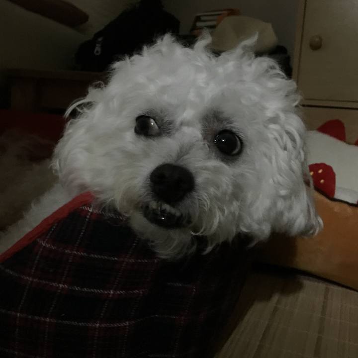 1ff70d86 2828 4c89 8650 ad3ad4c46f58