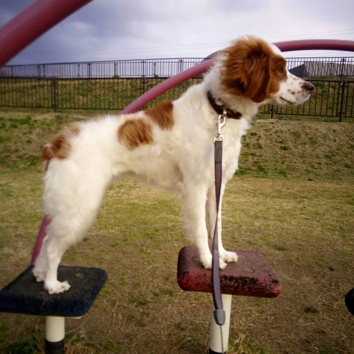 1ff7bdd4 d974 496b a471 e7cd1f4dc4d5