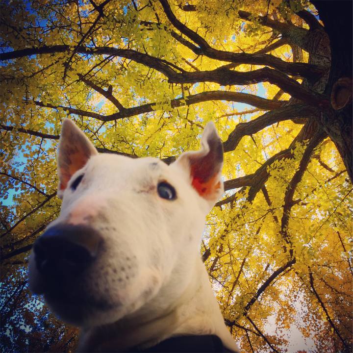 1ff8b421 9bd8 4477 a132 f1269bbeabcb