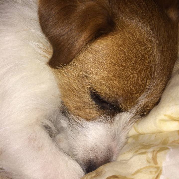 1ff8e4a2 50c4 4c2f b7a0 c7117e8a6646