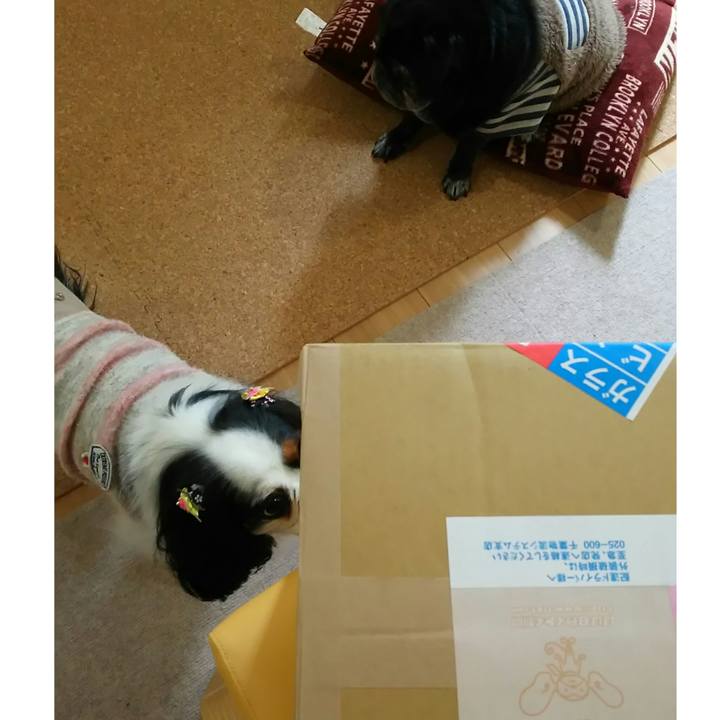 1ff8eed9 54eb 4b1f b547 3b185448bc05