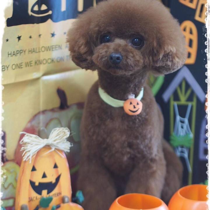 1ff945e5 b1fd 4b2c ae3b d8f125243ead