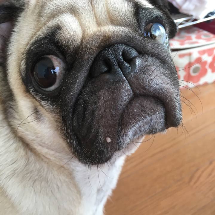 1ff94b0c 8ae8 44a7 8883 141b1509aaad