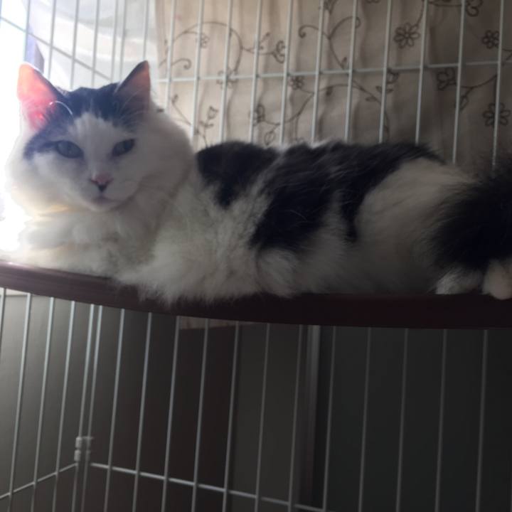 1ff9593f b61c 4cc4 b7f9 6b9f91d6db9e