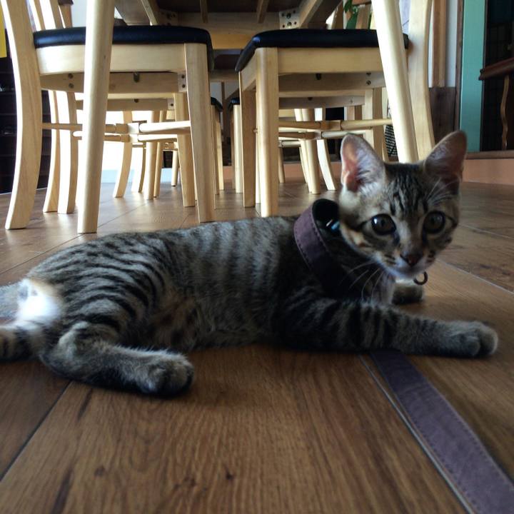 1ff982df 4330 46f9 8212 017221ac5e3a