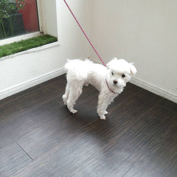 1ff9e776 818d 4b1b 99b2 242a08641327