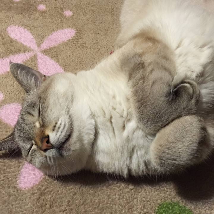 1ffa8aef f3cc 4761 82dd ec347b92280c