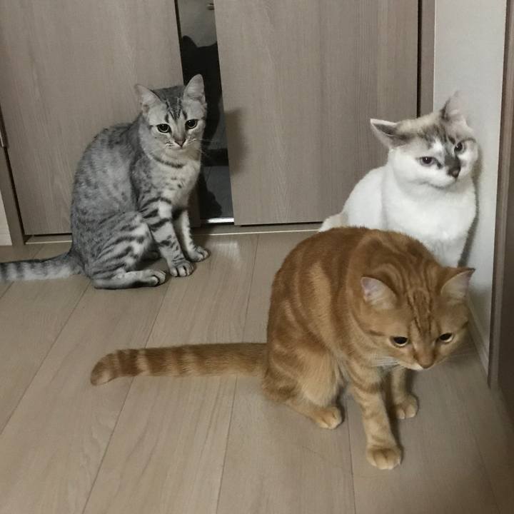 1ffab3ca 5e1a 4860 a1c5 ec649da908f6