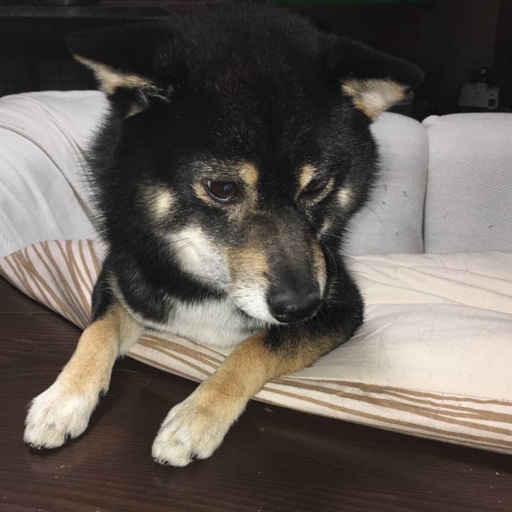 1ffad668 b35b 422e 9898 54ba93846674