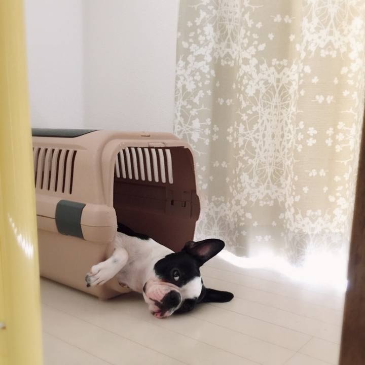 1ffb031d dbaf 48d3 a8dc a86232644846