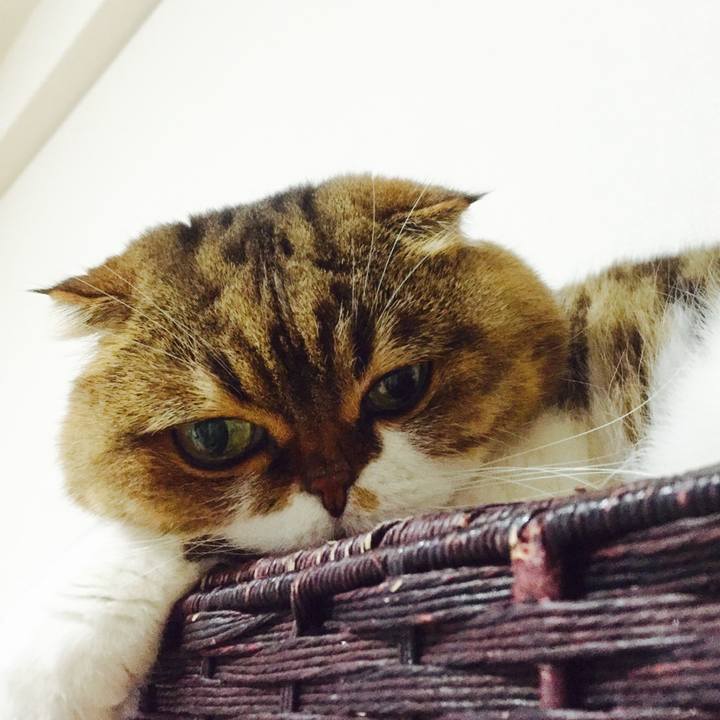 1ffb3447 39ac 4a30 b539 d73cfabc5afa