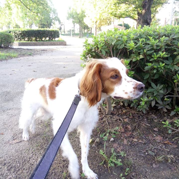 1ffbb2b1 3018 453b 87e4 844f1bb6f08f