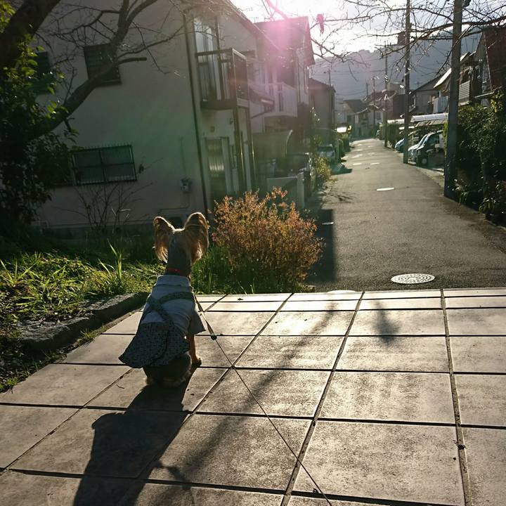 1ffc49b8 3a32 4583 92d7 32831ba481a2