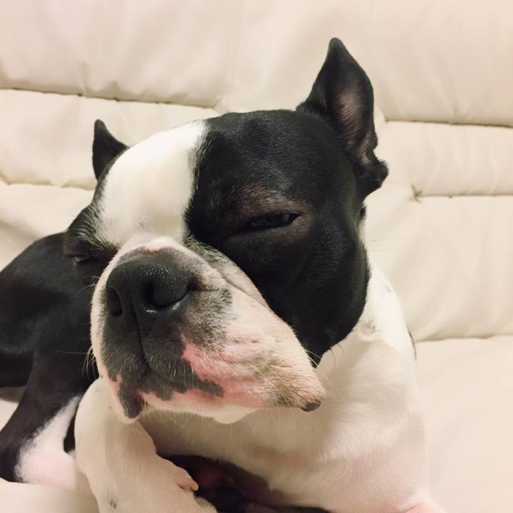 1ffd560a de02 48f4 9da0 0ced1783db15