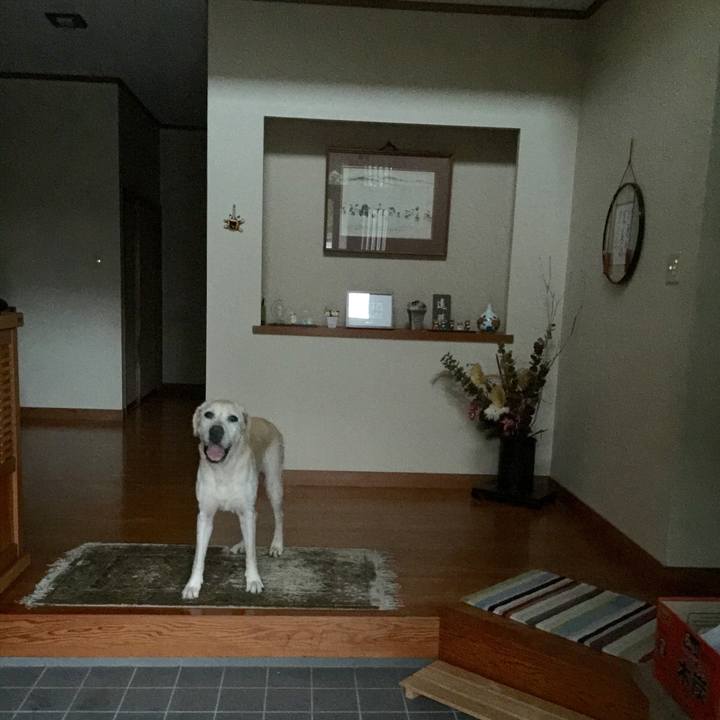 1ffd5f28 a152 468a 813c 158dbdc90610