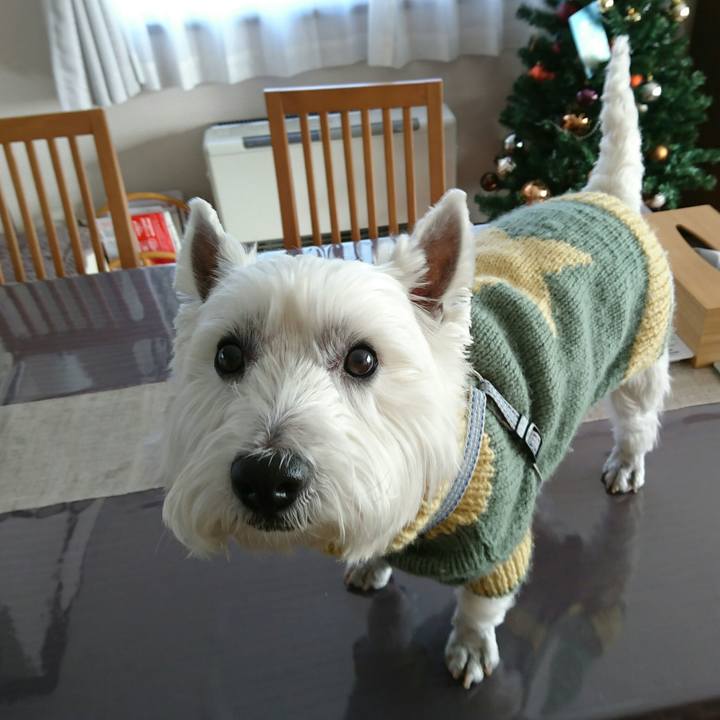 1ffd72fa a70b 42cc a748 2b8f53e40dc6