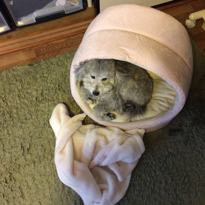 1ffdab2b 7fe1 4356 b4aa ab80430d1d7d