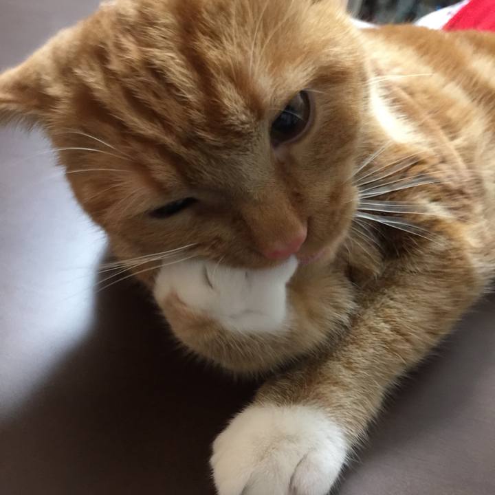 1ffee1cd 17f1 4a34 8da4 32fcb89ffcc0