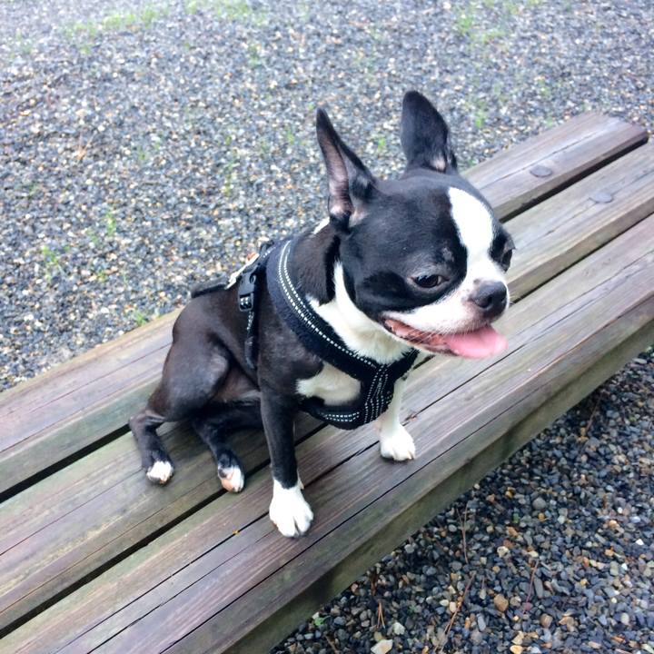 1ffeff25 7bbb 45b2 9840 cab7350c3a17