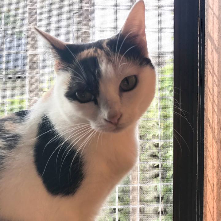 1fff0145 f473 4517 b933 133ede97210e