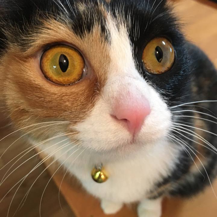 1fff415d 312c 4462 8790 bbaa9dc886ba