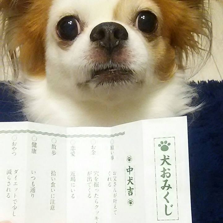 1fff7c2e 43c8 4d12 9f7c 5cd9b30aad84