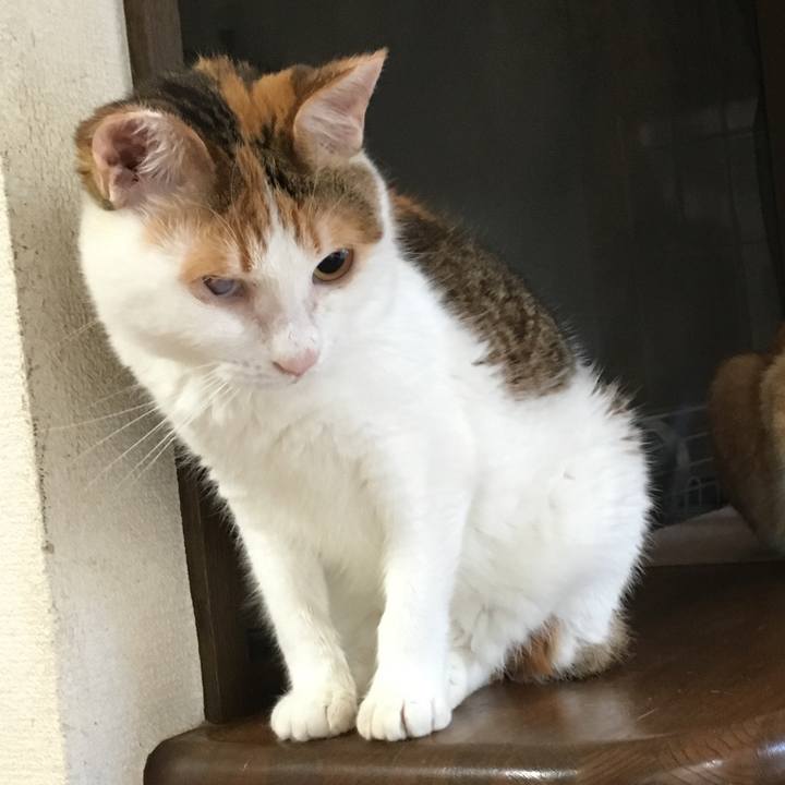 2000c157 091a 4aef a2ec f7f0e34d33c3