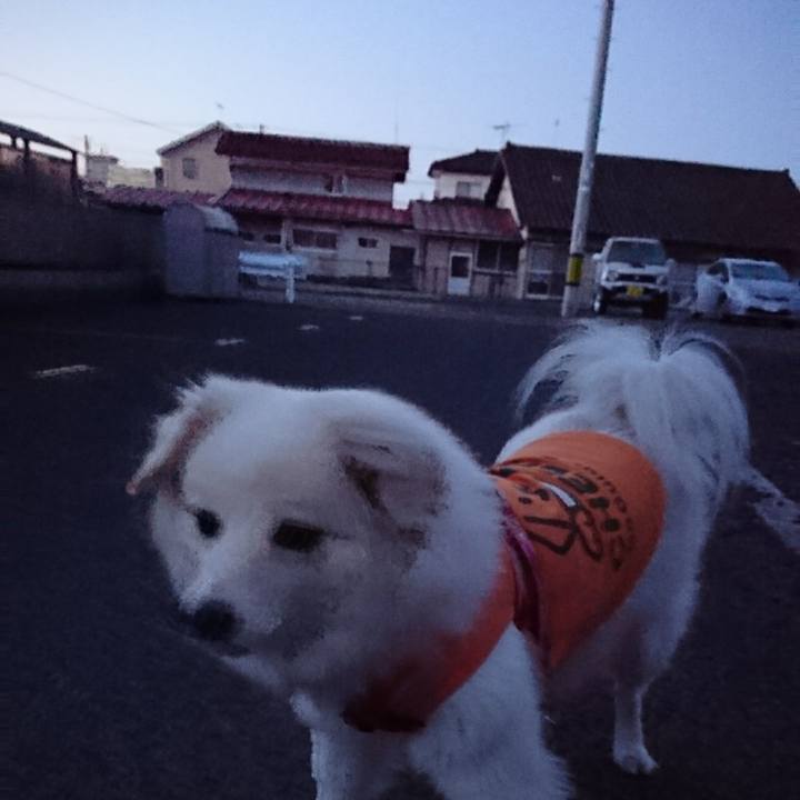 2000f177 7fe8 4e8f 959c b65e59a1ec4e